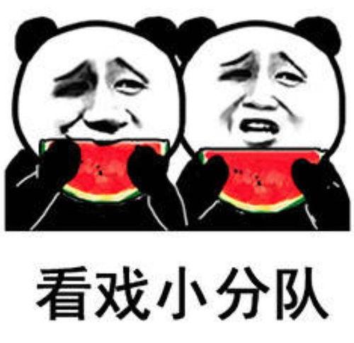 娱乐圈的瓜吃的瓜表情包